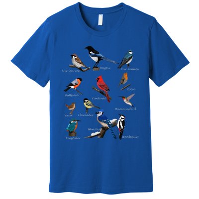 Garden Birds Cardinal Blue Jay Hummingbird Robin Wren Finch Premium T-Shirt