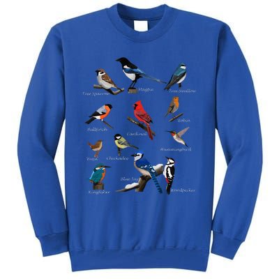 Garden Birds Cardinal Blue Jay Hummingbird Robin Wren Finch Tall Sweatshirt