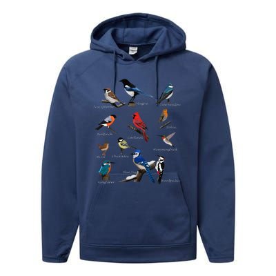 Garden Birds Cardinal Blue Jay Hummingbird Robin Wren Finch Performance Fleece Hoodie