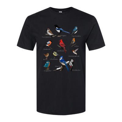 Garden Birds Cardinal Blue Jay Hummingbird Robin Wren Finch Softstyle CVC T-Shirt