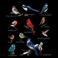 Garden Birds Cardinal Blue Jay Hummingbird Robin Cooling Performance Crew T-Shirt