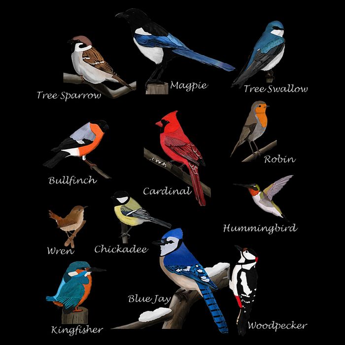Garden Birds Cardinal Blue Jay Hummingbird Robin Cooling Performance Crew T-Shirt