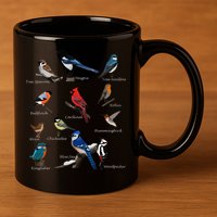 Garden Birds Cardinal Blue Jay Hummingbird Robin 11oz C Handle Ceramic Mug