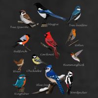 Garden Birds Cardinal Blue Jay Hummingbird Robin 11oz C Handle Ceramic Mug