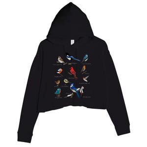 Garden Birds Cardinal Blue Jay Hummingbird Robin Crop Fleece Hoodie