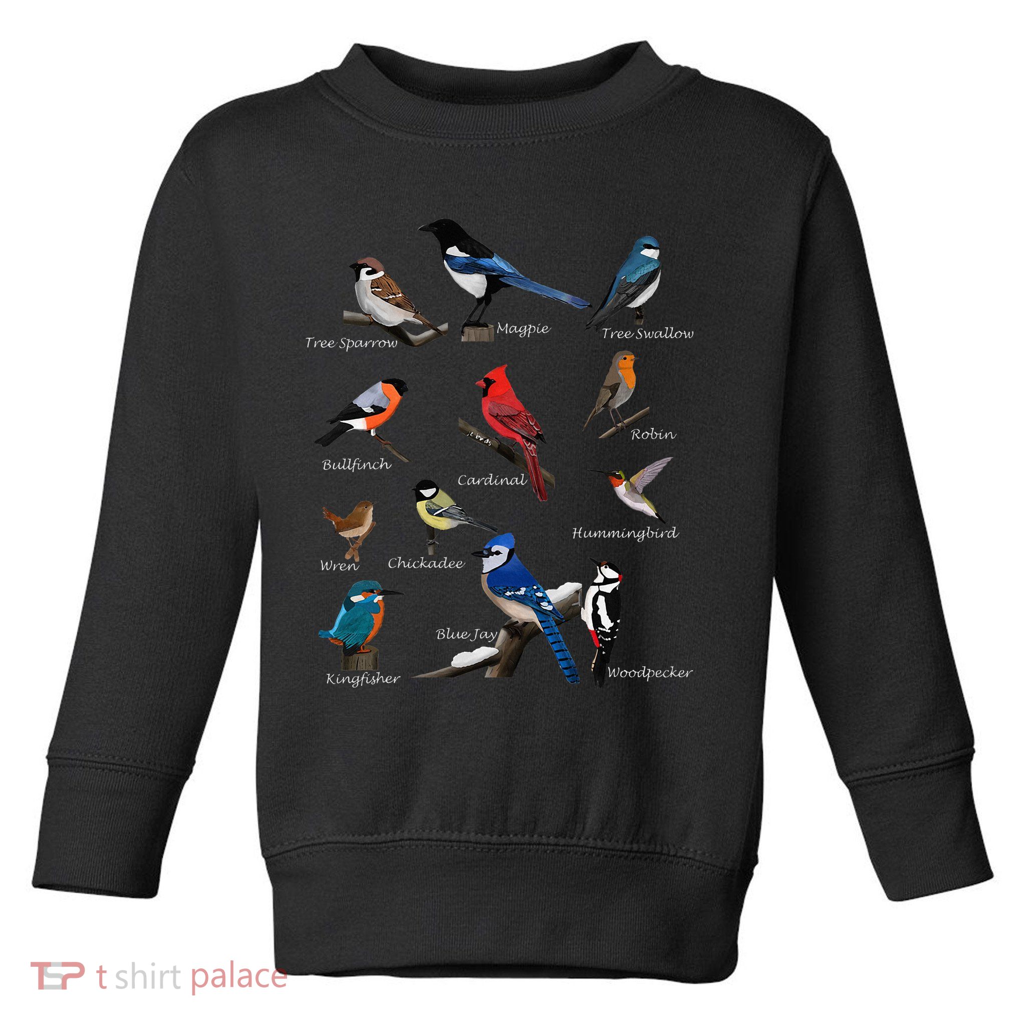 Garden Birds Cardinal Blue Jay Hummingbird Robin Toddler Sweatshirt