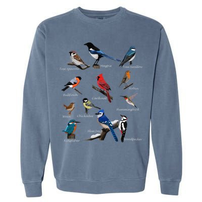 Garden Birds Cardinal Blue Jay Hummingbird Robin Garment-Dyed Sweatshirt