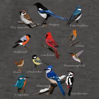 Garden Birds Cardinal Blue Jay Hummingbird Robin Vector Backpack