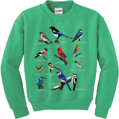 Garden Birds Cardinal Blue Jay Hummingbird Robin Kids Sweatshirt