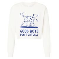 Good Boy Dont Catcall Cropped Pullover Crew