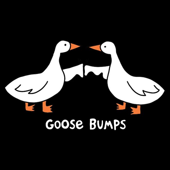 Goose Bumps Funny Drawstring Bag