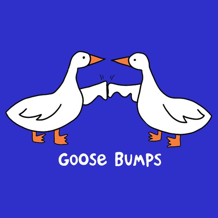 Goose Bumps Funny Zip Tote Bag