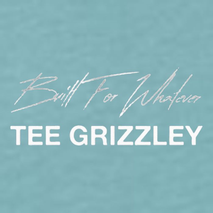 Grizzley Built For Whatever Sueded Cloud Jersey T-Shirt