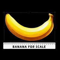 Go Bananas For This Banana For Scale Funny Drawstring Bag