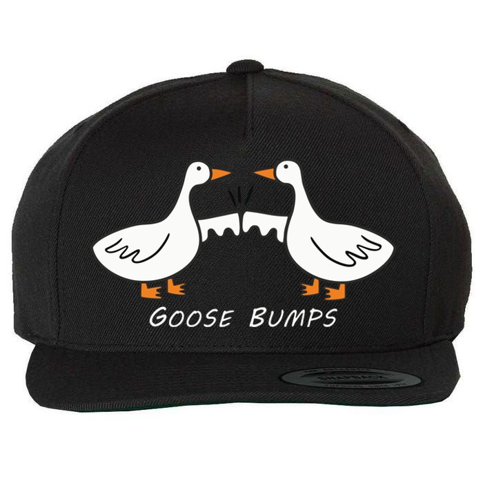 Goose Bumps Wool Snapback Cap