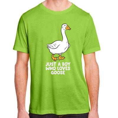 Goose Boy Gift Just A Boy Who Loves Goose Adult ChromaSoft Performance T-Shirt