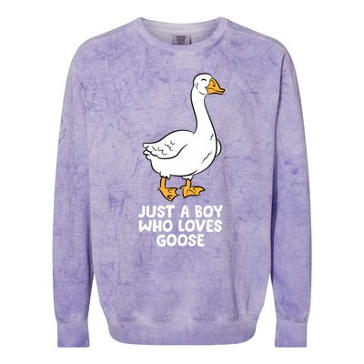 Goose Boy Gift Just A Boy Who Loves Goose Colorblast Crewneck Sweatshirt