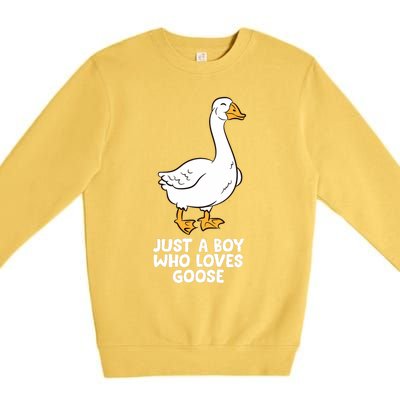 Goose Boy Gift Just A Boy Who Loves Goose Premium Crewneck Sweatshirt