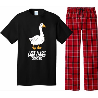 Goose Boy Gift Just A Boy Who Loves Goose Pajama Set