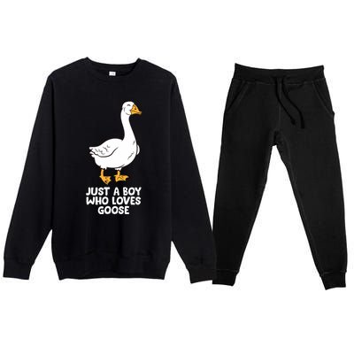 Goose Boy Gift Just A Boy Who Loves Goose Premium Crewneck Sweatsuit Set