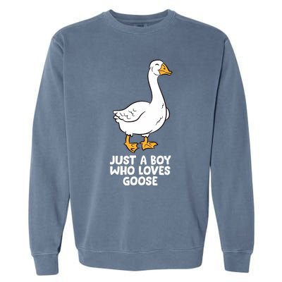 Goose Boy Gift Just A Boy Who Loves Goose Garment-Dyed Sweatshirt