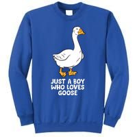 Goose Boy Gift Just A Boy Who Loves Goose Sweatshirt