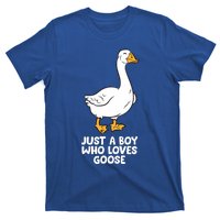 Goose Boy Gift Just A Boy Who Loves Goose T-Shirt