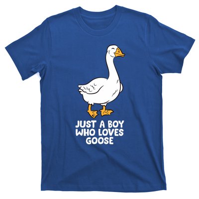 Goose Boy Gift Just A Boy Who Loves Goose T-Shirt