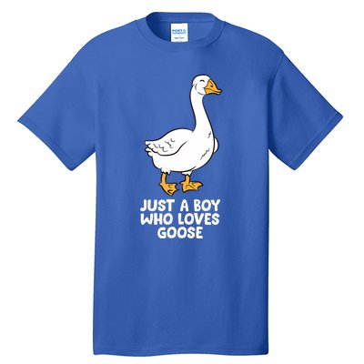 Goose Boy Gift Just A Boy Who Loves Goose Tall T-Shirt