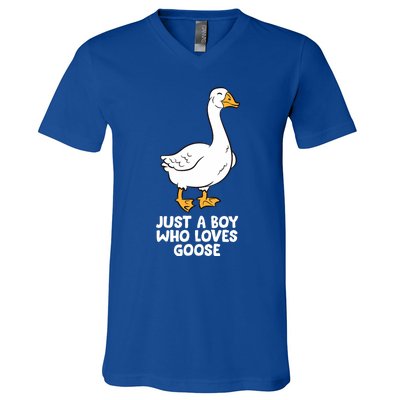 Goose Boy Gift Just A Boy Who Loves Goose V-Neck T-Shirt