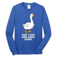 Goose Boy Gift Just A Boy Who Loves Goose Tall Long Sleeve T-Shirt