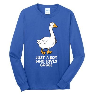 Goose Boy Gift Just A Boy Who Loves Goose Tall Long Sleeve T-Shirt