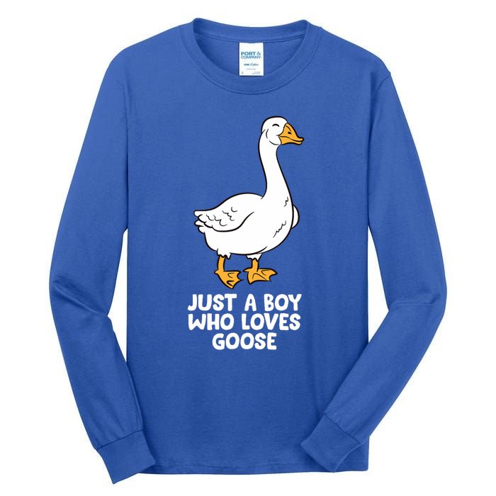 Goose Boy Gift Just A Boy Who Loves Goose Tall Long Sleeve T-Shirt