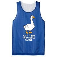 Goose Boy Gift Just A Boy Who Loves Goose Mesh Reversible Basketball Jersey Tank