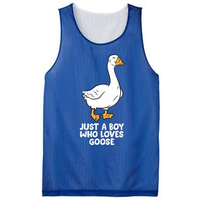 Goose Boy Gift Just A Boy Who Loves Goose Mesh Reversible Basketball Jersey Tank