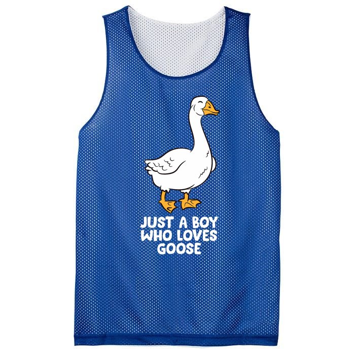 Goose Boy Gift Just A Boy Who Loves Goose Mesh Reversible Basketball Jersey Tank