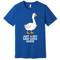 Goose Boy Gift Just A Boy Who Loves Goose Premium T-Shirt