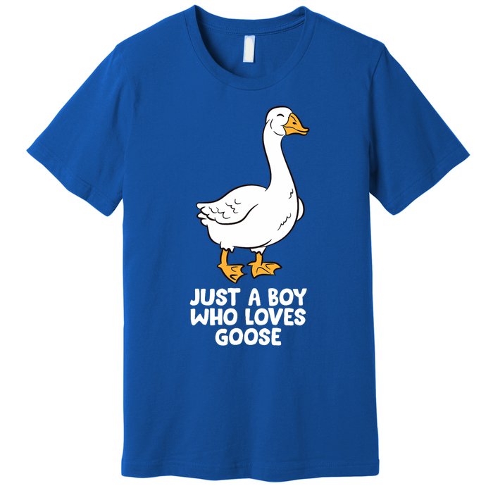 Goose Boy Gift Just A Boy Who Loves Goose Premium T-Shirt