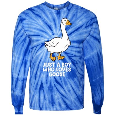 Goose Boy Gift Just A Boy Who Loves Goose Tie-Dye Long Sleeve Shirt