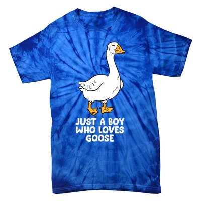 Goose Boy Gift Just A Boy Who Loves Goose Tie-Dye T-Shirt