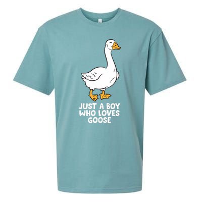 Goose Boy Gift Just A Boy Who Loves Goose Sueded Cloud Jersey T-Shirt