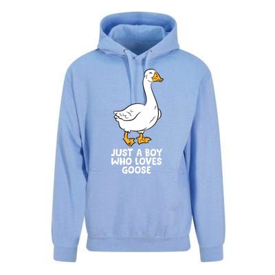 Goose Boy Gift Just A Boy Who Loves Goose Unisex Surf Hoodie