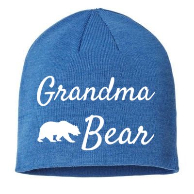 Grandma Bear Gift Christmas Papa Bear Mama Bear Bear Gift Sustainable Beanie