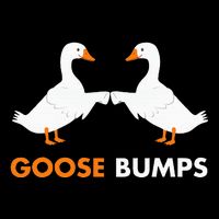 Goose Bumps Goosebumps Funny Geese Fist Bump Pun 16 in Basic Backpack