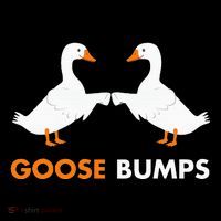 Goose Bumps Goosebumps Funny Geese Fist Bump Pun Short Acrylic Beanie