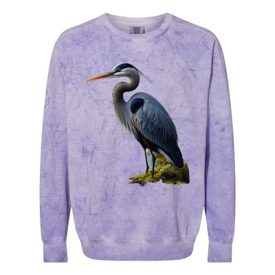 Great Blue Heron. ArtistS Rendition. Colorblast Crewneck Sweatshirt