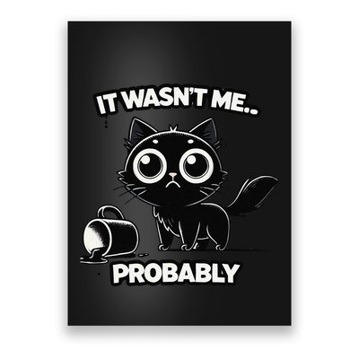 Guilty But Innocent Funny Black Cat Meme .Png Poster