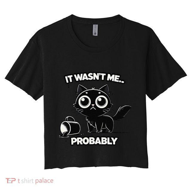 Guilty But Innocent Funny Black Cat Meme .Png Crop Top