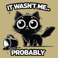 Guilty But Innocent Funny Black Cat Meme .Png T-Shirt