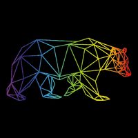 Geometric Bear Lgb Rainbow Flag Kids Hoodie